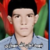 امان اله شهبازی.jpg